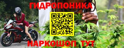 сатива Пенза