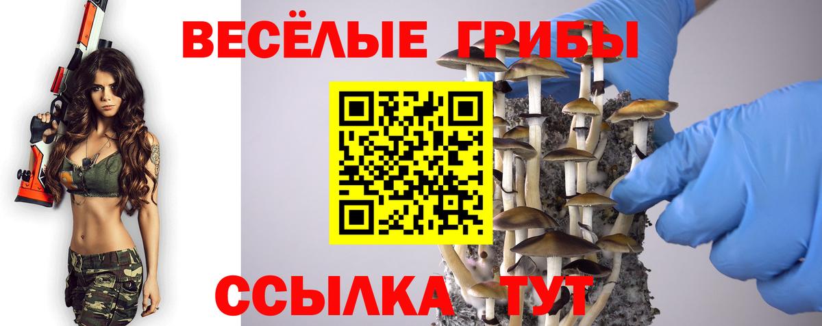 Псилоцибиновые грибы мухоморы  Вход с VPN  Бердск 