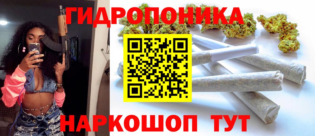Бердск  Бошки марихуана VHQ  Канабис AK-47  Вход с VPN  Каннабис AK-47  Бошки марихуана OG Kush 